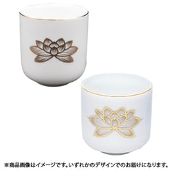 白上金 ハス 湯呑 1.8寸 白