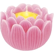蓮の花 小 箱入り ピンク