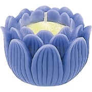 蓮の花 小 箱入り パープル