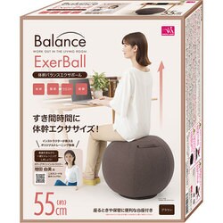 体幹 バランス エクサボール ブラウン