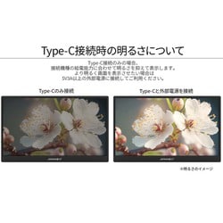ヨドバシ.com - JAPANNEXT ジャパンネクスト モバイルモニター/17.3型