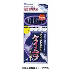 HS303 小アジ専科 ツイストケイムラレインボー 6-1