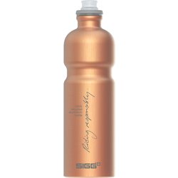 ムーブマイプラネット0.75L コパー 50366 [アウトドア 水筒 マグボトル 750ml]