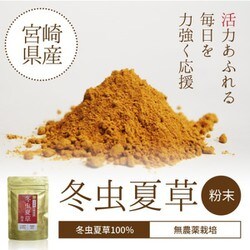 ヨドバシ.com - 霊芝・冬虫夏草 冬虫夏草 粉末 人用 健康食品 30g 通販