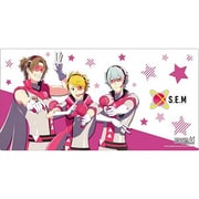 ブシロード ラバーマットコレクション V2 Vol.616 アイドルマスター SideM S.E.M [トレーディングカード用品]