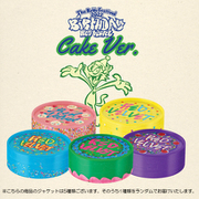 RED VELVET / REVE FESTIVAL 2022: BIRTHDAY (LTD)（ランダムバージョン） [K-POP 輸入盤CD]