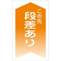 GKS-6 [ニューコーンサイン この先段差あり (橙矢印）]