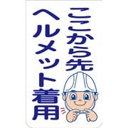 GKS-50 [ニューコーンサイン ここから先ヘルメット着用]