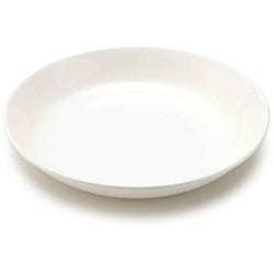 プレート 19cm 洋食器 軽量強化磁器 フォルテモア T-661871