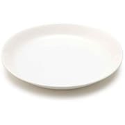 プレート 24cm 洋食器 軽量強化磁器 フォルテモア T-661888