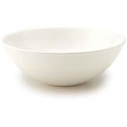 フルーツボウル 14cm 洋食器 軽量強化磁器 フォルテモア T-661901