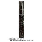 ミランツェ HM1 19-16*N [時計バンド]