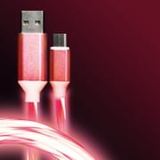 TYPE-C 光る充電ケーブル 2m レッド C003RD