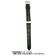 16ミリ スーパー防水 ノウチャ VG16 16-D76*N [時計バンド]