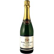 デュック・ダンリ スパークリングワイン 750ml フランス/ブルゴーニュ [スパークリングワイン]