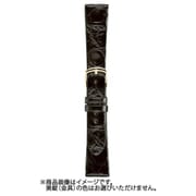 ワニWH16クロ *16-31*N [時計バンド]