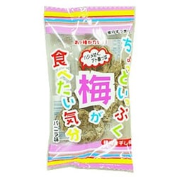 一榮食品 ちょっといっぷく梅が食べたい気分 バニラ味 10g×10個