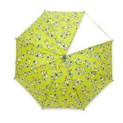 子供用傘 ZAZZY ZAPS(ザジーザップス) ナンバー(スター) Mサイズ 50cm 手開き式 透明窓付き(1面) グリーン 6731654-003-10-2