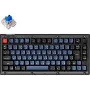 Keychron V1 QMK カスタム・メカニカルキーボード ノブバージョン RGB - JIS配列（テンキーレス）-Keychron K Pro 青軸 / フロステッドブラック（半透明） V1-C2-JIS
