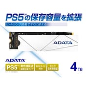 APSFG-4TCS [【Premier SSD For Gamers】 PS5（TM）対応 容量拡張M.2 SSD 4TB M.2 2280 NVMe（PCIe Gen4×4） Read：7400MB/s / Write：6600MB/s ヒートシンク搭載 取付ガイド付属]