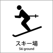 6300001104 [JIS標識ピクトサイン スキー場]