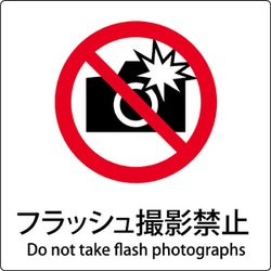 6300001132 [JIS標識ピクトサイン フラッシュ撮影禁止]