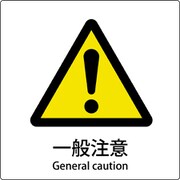 6300001138 [JIS標識ピクトサイン 一般注意]
