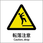 6300001143 [JIS標識ピクトサイン 転落注意]
