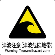 6300001146 [JIS標識ピクトサイン 津波注意(津波危険地帯)]