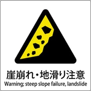 6300001148 [JIS標識ピクトサイン 崖崩れ・地滑り注意]