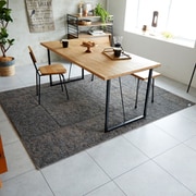 ラグ DKラスティ 220cm×250cm チャコール 13473085-6