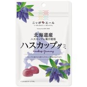 ニッポンエール 北海道産 ハスカップグミ 40g