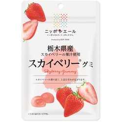 ニッポンエール 栃木県産 スカイベリーグミ 40g