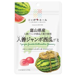ニッポンエール 富山県産 入善ジャンボ西瓜グミ 40g