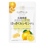 ニッポンエール 広島県産 はっさく&レモングミ 40g