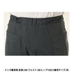 アクシーズクイン　ストライプのパンツ　四 AXESQUIN ELEMENTS ストライプのパンツ | 宗像山道具店 by GRIPS