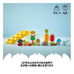 ヨドバシ.com - LEGO レゴ 10984 LEGO（レゴ） デュプロ はじめての