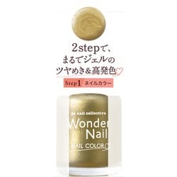 pa ワンダーネイル RWN-06