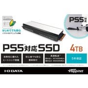 HNSSD-4P5 [PS5対応 M.2 拡張SSD ヒートシンク付 4TB]
