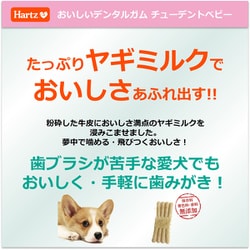 ヨドバシ.com - 住商アグロインターナショナル Hartz ハーツ 犬用