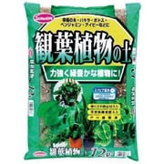 観葉植物の土 ステビア配合 12L