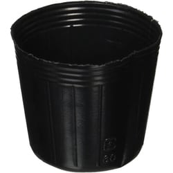 ポリポット 100個（ポリ鉢 黒） 6cm