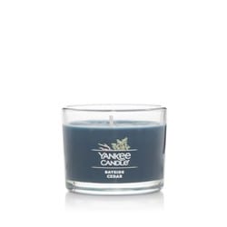 YANKEE CANDLE シグネチャータンブラー ミニ ベイサイドシダー YK00905399