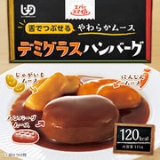 デミグラスハンバーグ 115g [【介護食事】 常温保存可]