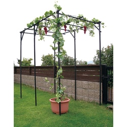 くだもの棚セット KT-M W120cm×D180cm×H210cm