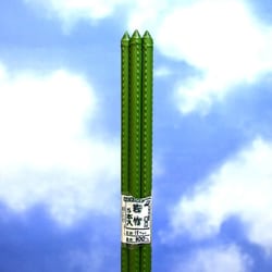 若竹 5本パック 11×900