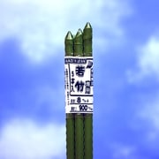 若竹 5本パック 8×900