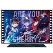 劇場版 名探偵コナン 黒鉄の魚影 アクリルアートスタンド デュエルビジュアル [キャラクターグッズ]