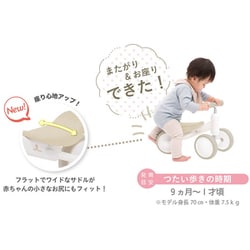 ヨドバシ.com - アイデス IDES 3532 D-Bike mini ワイド