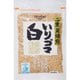 いりゴマ 白 82g [期限切迫商品（賞味期限：2025年10月7日）]